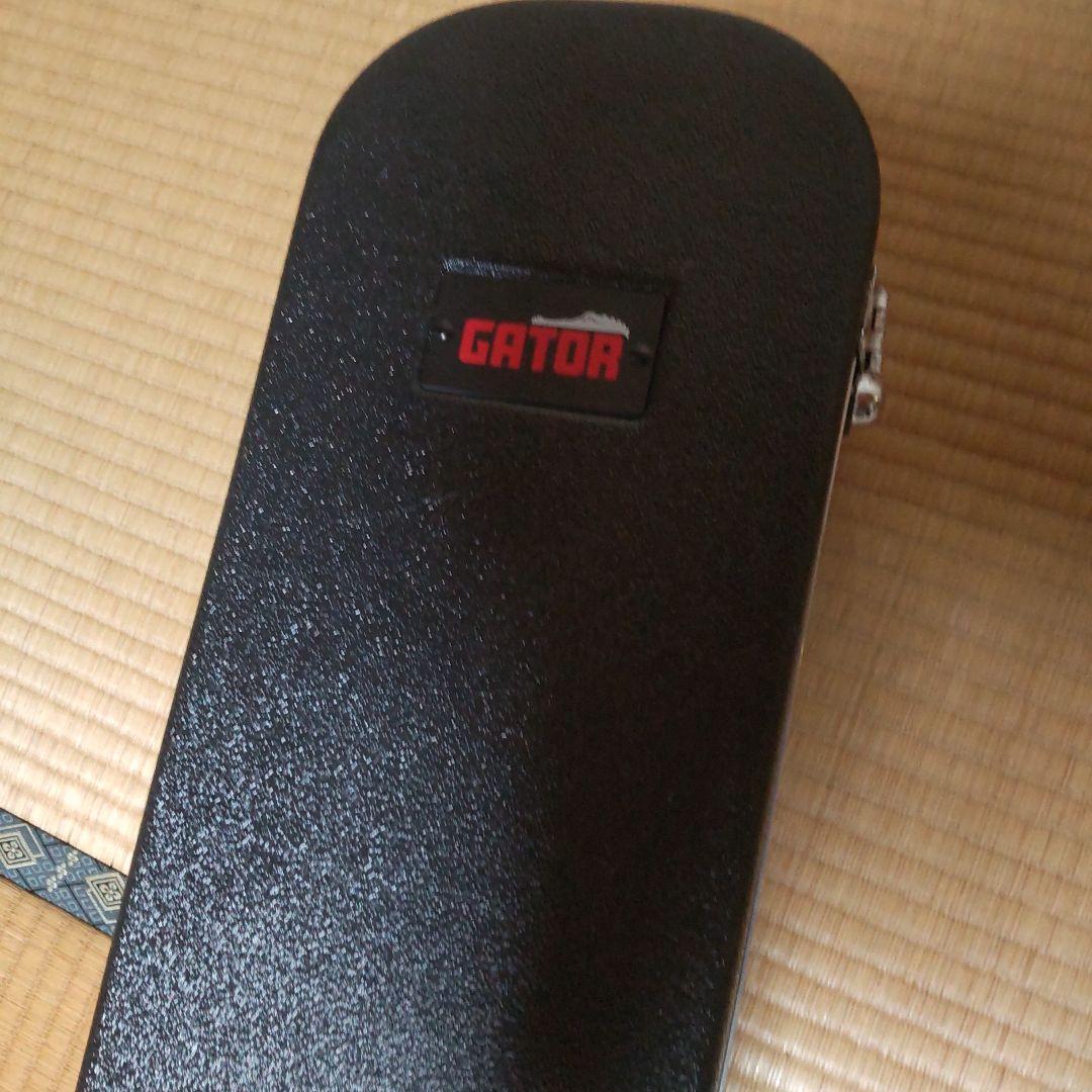 美品Epiphone ES-335 PROカスタムショップ限定品ハードケース付き