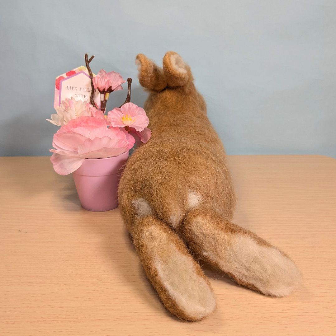 のあ様オーダー　羊毛フェルト　うさぎ　まったりオレンジドワーフ確認用