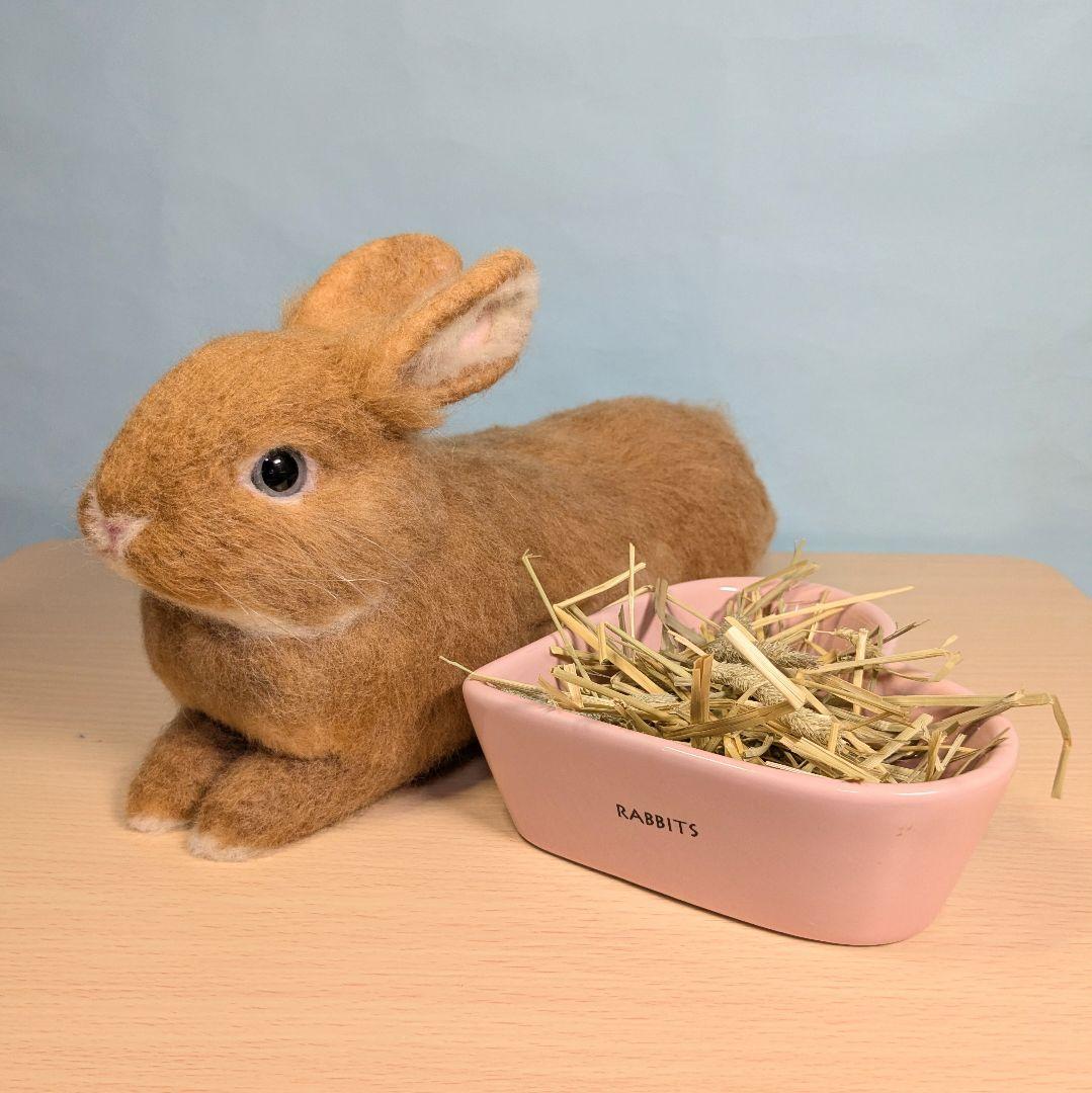 のあ様オーダー　羊毛フェルト　うさぎ　まったりオレンジドワーフ確認用