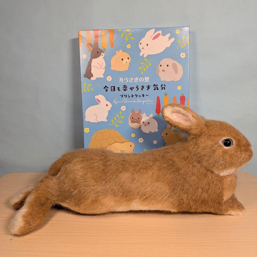 のあ様オーダー　羊毛フェルト　うさぎ　まったりオレンジドワーフ確認用