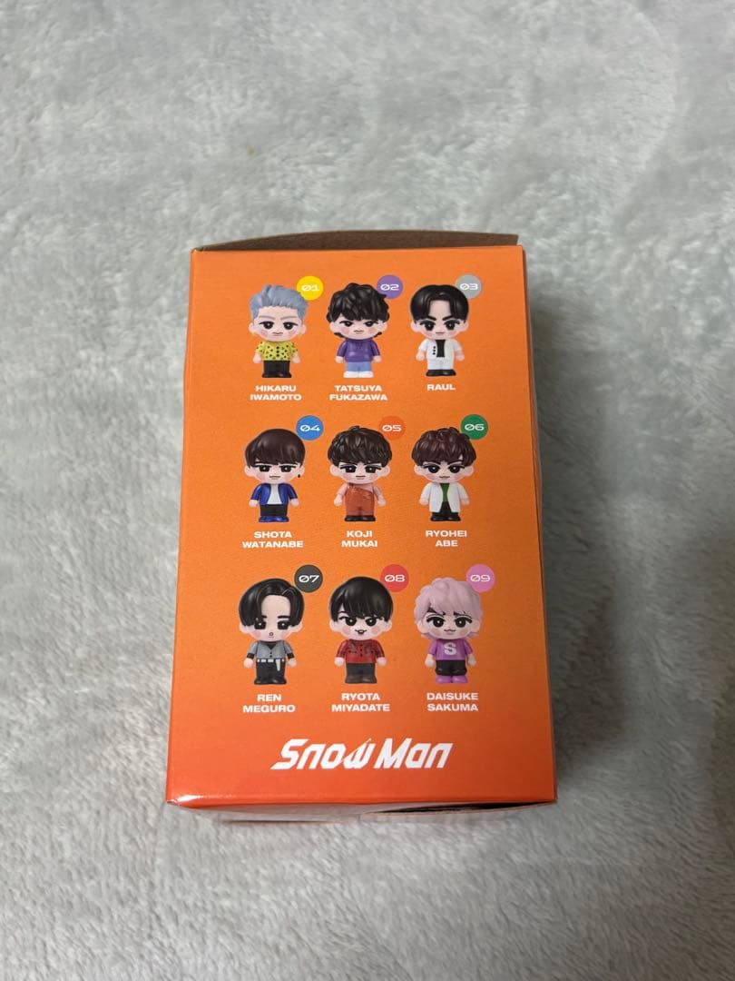 すのチル ソフビ 向井康二