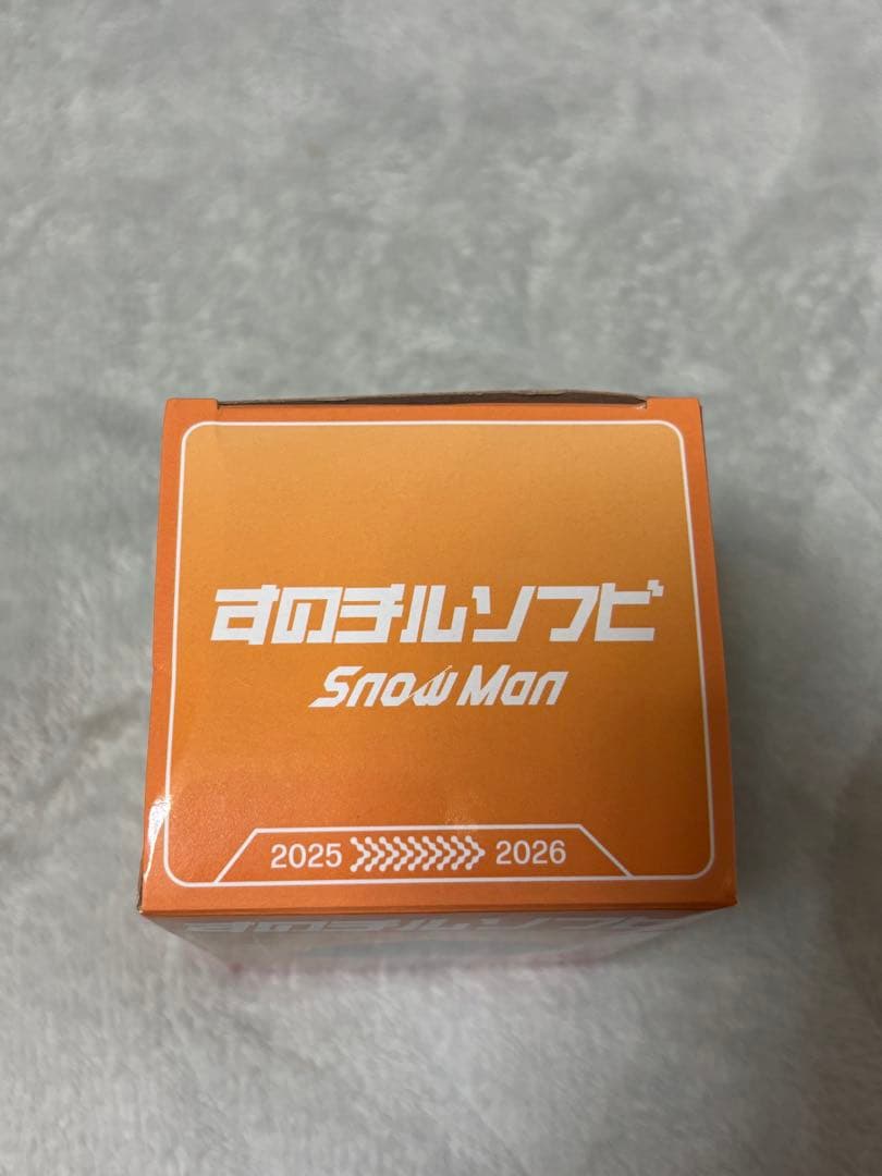 すのチル ソフビ 向井康二