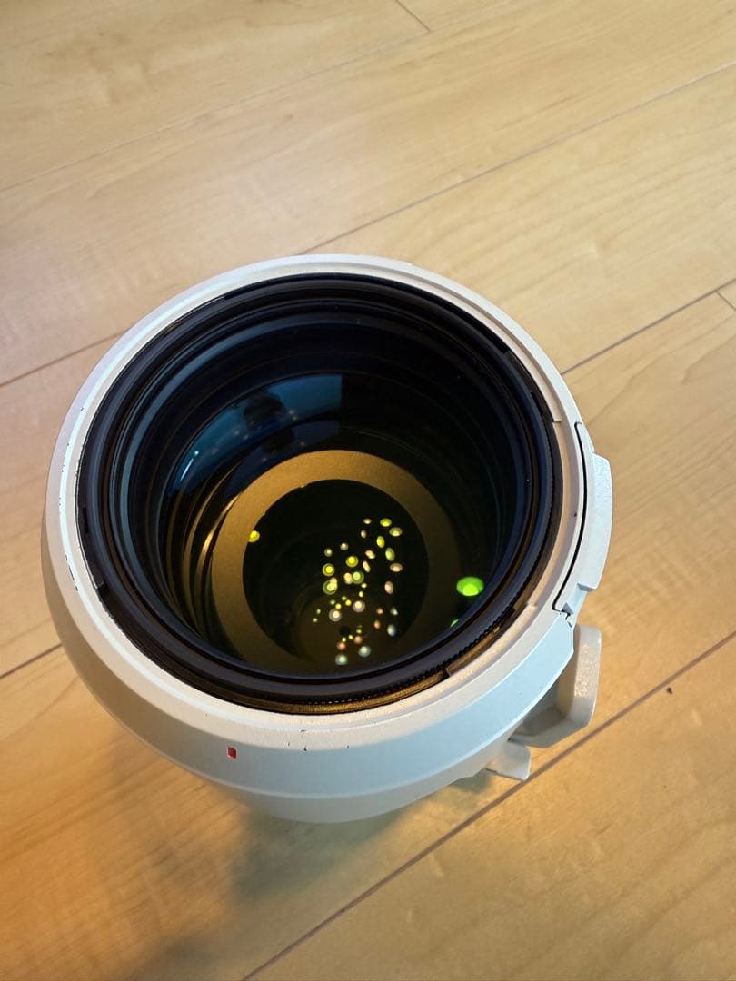 ムーミン　SONY Eマウント　70-200mm F2.8 GM OSS