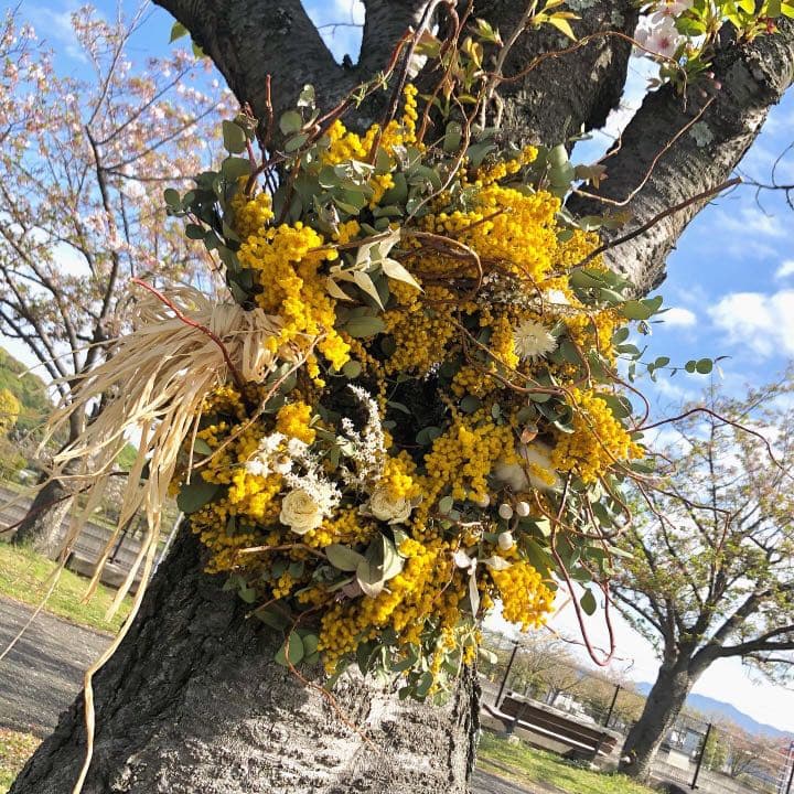 ナチュラルリース　ミモザリース