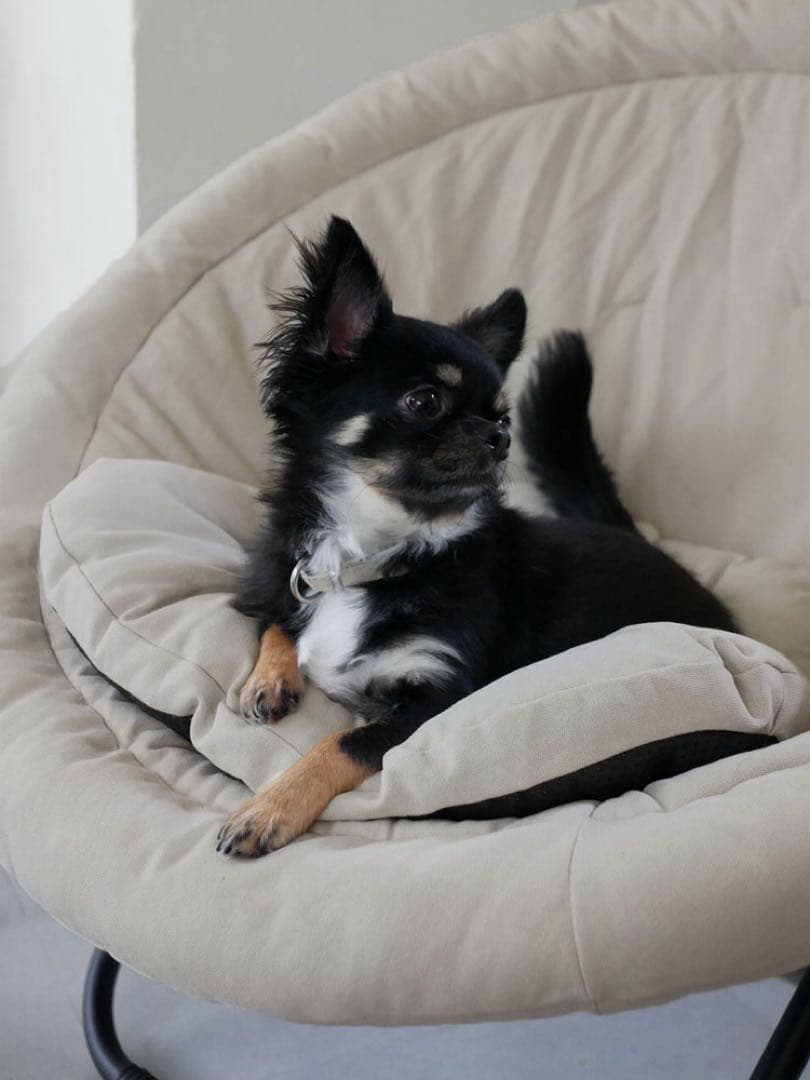 【Comore Sun】2wayフォールディングチェア コーデュロイ ベージュ