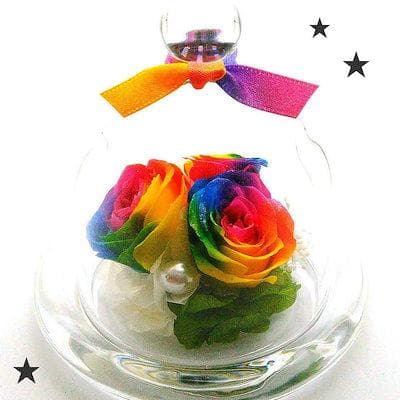 【高級プリザーブドフラワー】レインボーローズ ガラスドーム