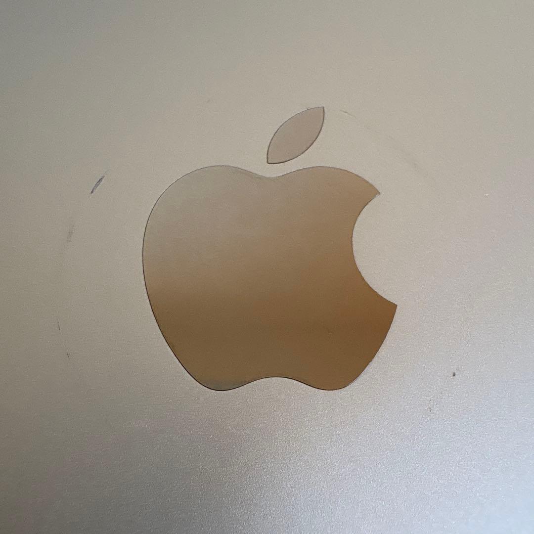 iPad mini5 セルラー 64GB SIMフリー(63)