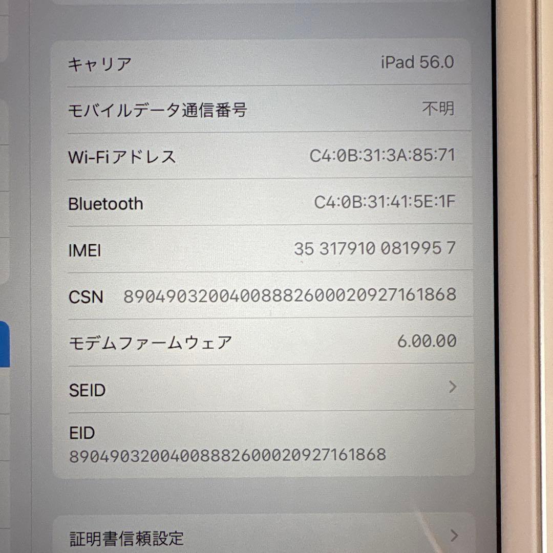 iPad mini5 セルラー 64GB SIMフリー(63)