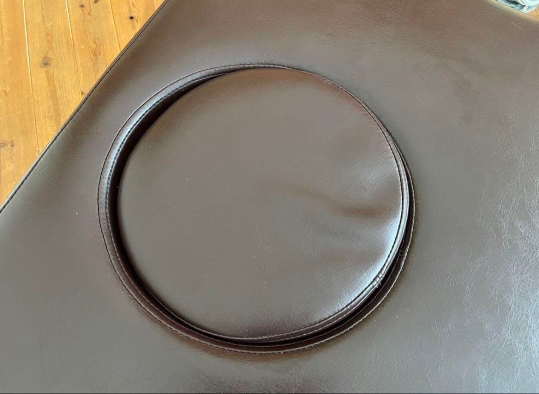 リクライニングベッドEX 電動昇降 オメガ式