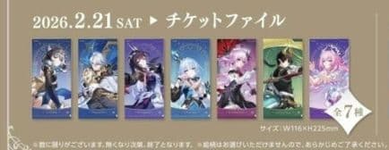 崩壊スターレイル×GiGO チケットファイル 9枚セット