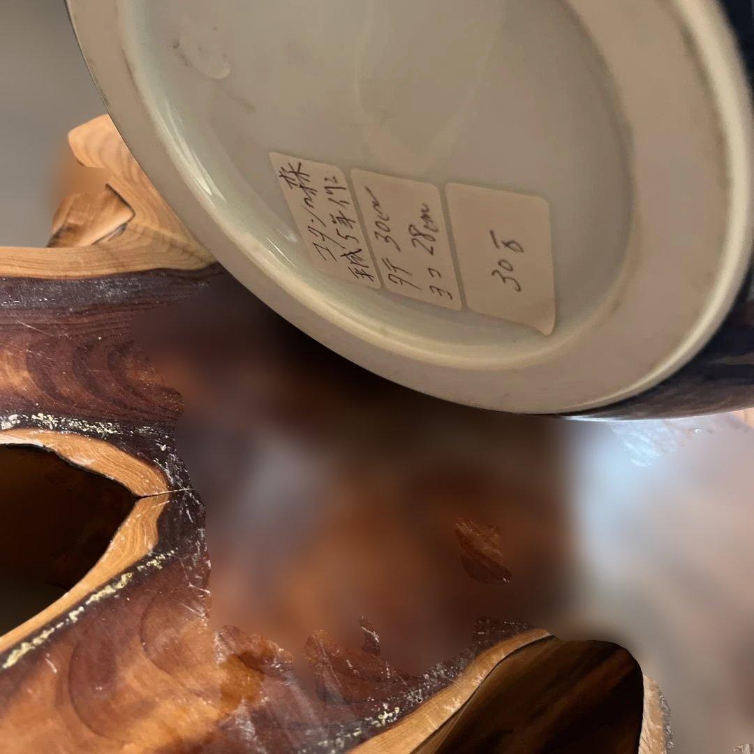 美品　コタンの森