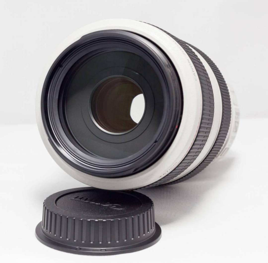 【手振れ】 キャノン EF 70-300mm F4-5.6 L IS USM