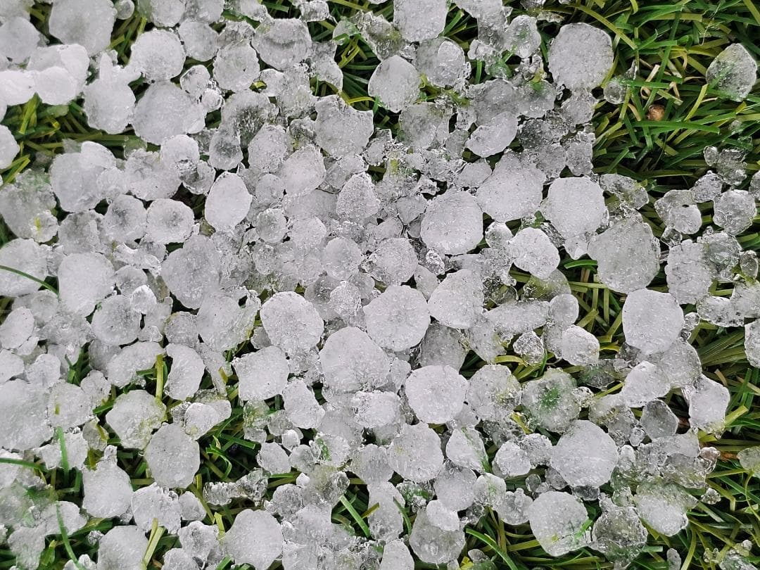 希少　気象　天然の雹　ひょう　千葉・茨城産　落ちたてホヤホヤ厳選採集