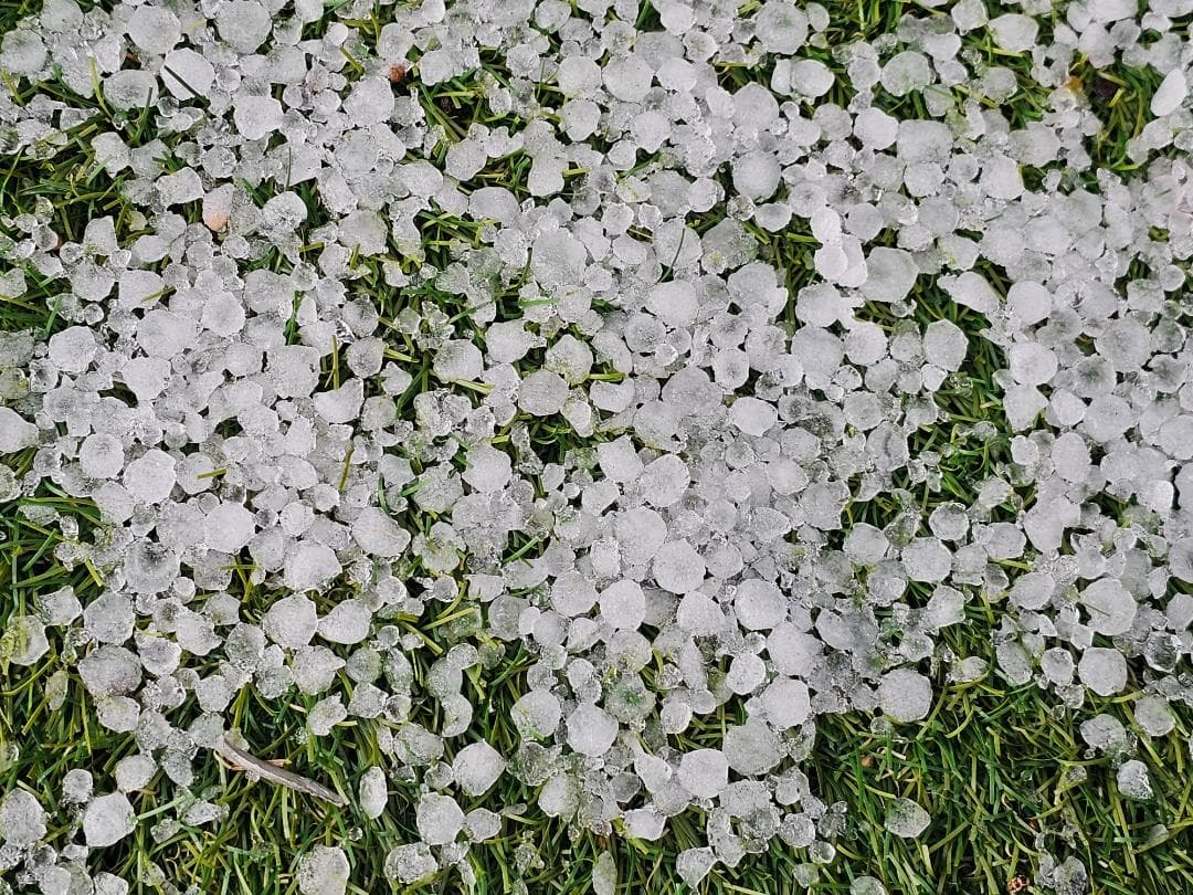 希少　気象　天然の雹　ひょう　千葉・茨城産　落ちたてホヤホヤ厳選採集