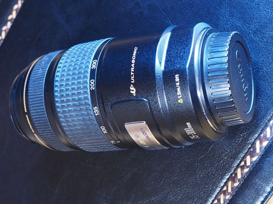 Canon ズームレンズ EF75-300mm IMAGESTABILIZER