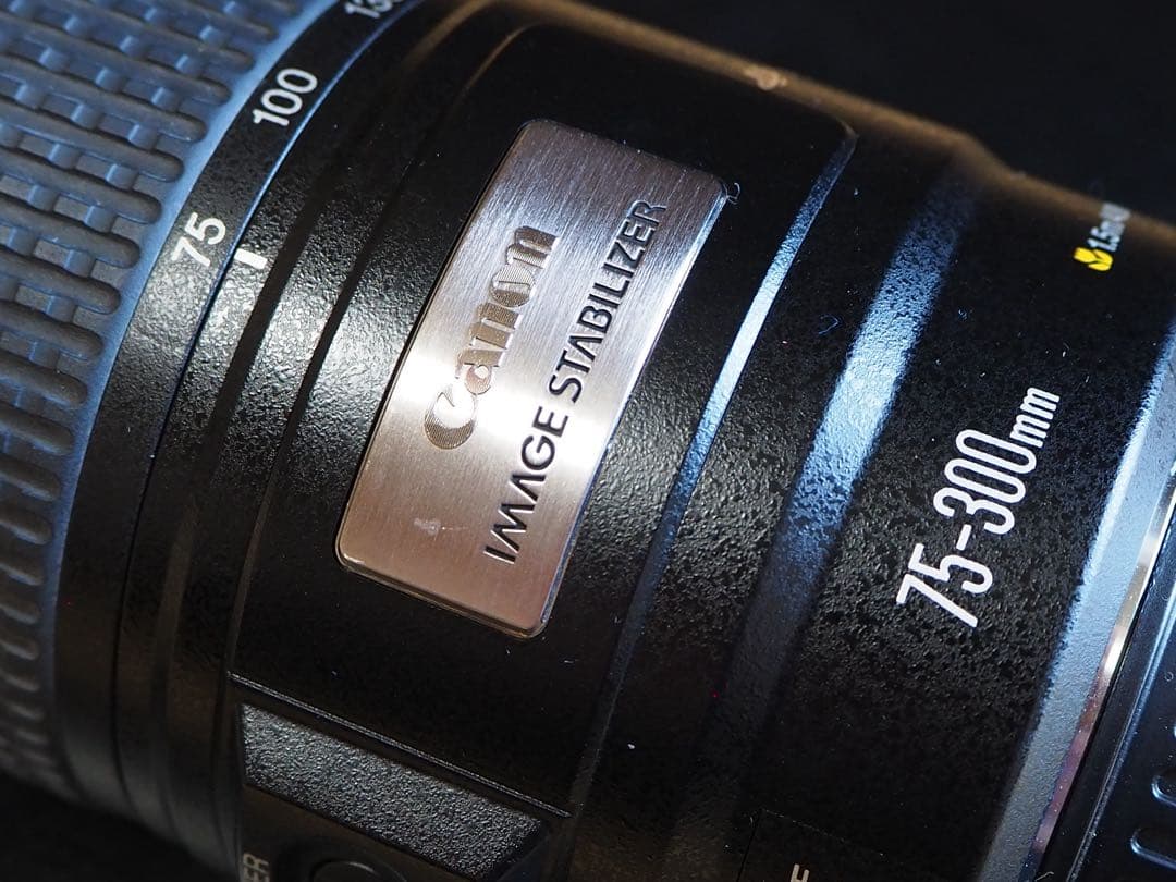 Canon ズームレンズ EF75-300mm IMAGESTABILIZER