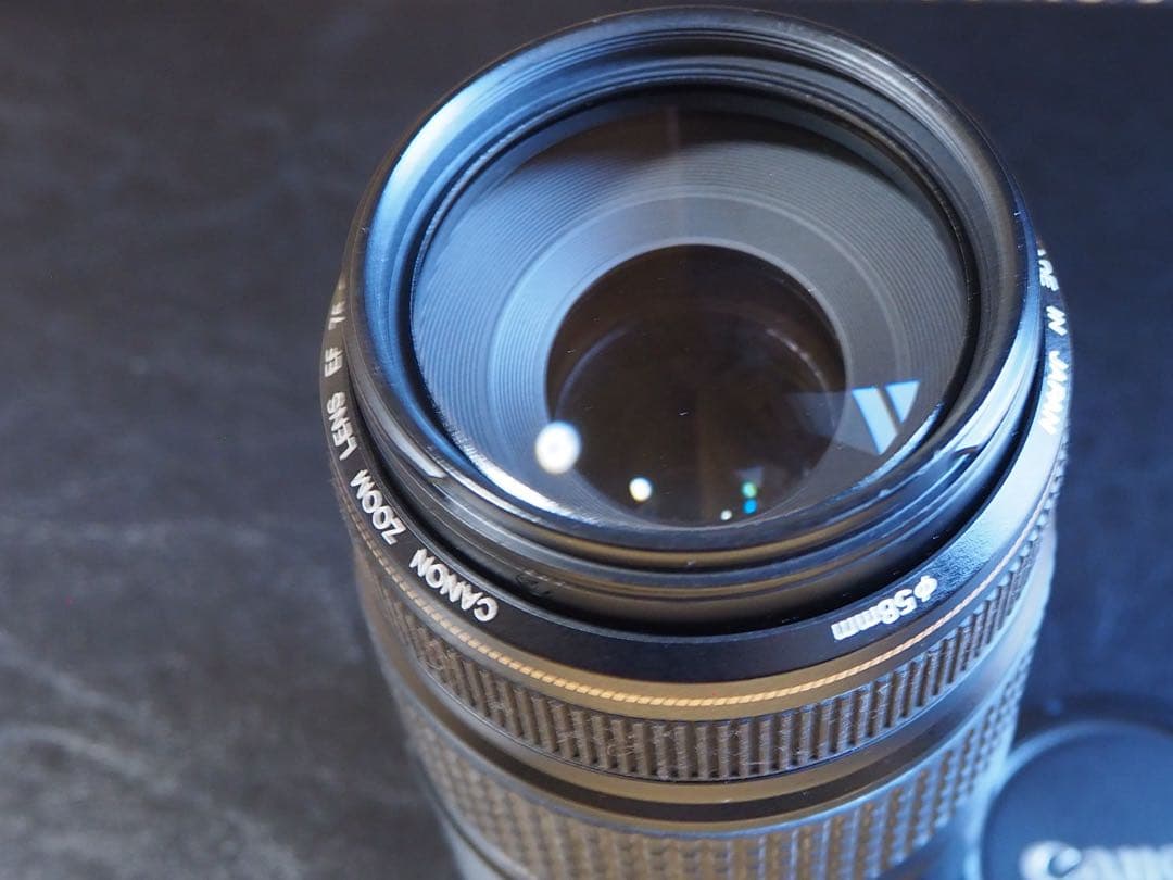 Canon ズームレンズ EF75-300mm IMAGESTABILIZER