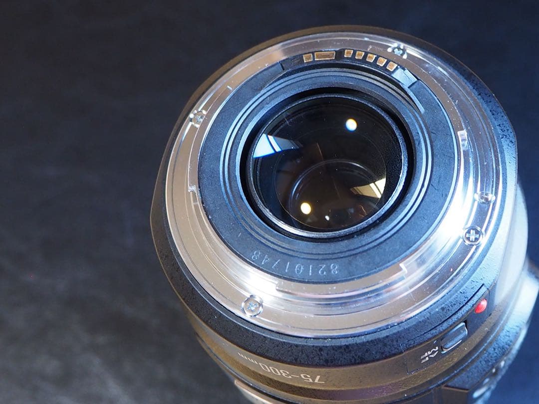 Canon ズームレンズ EF75-300mm IMAGESTABILIZER