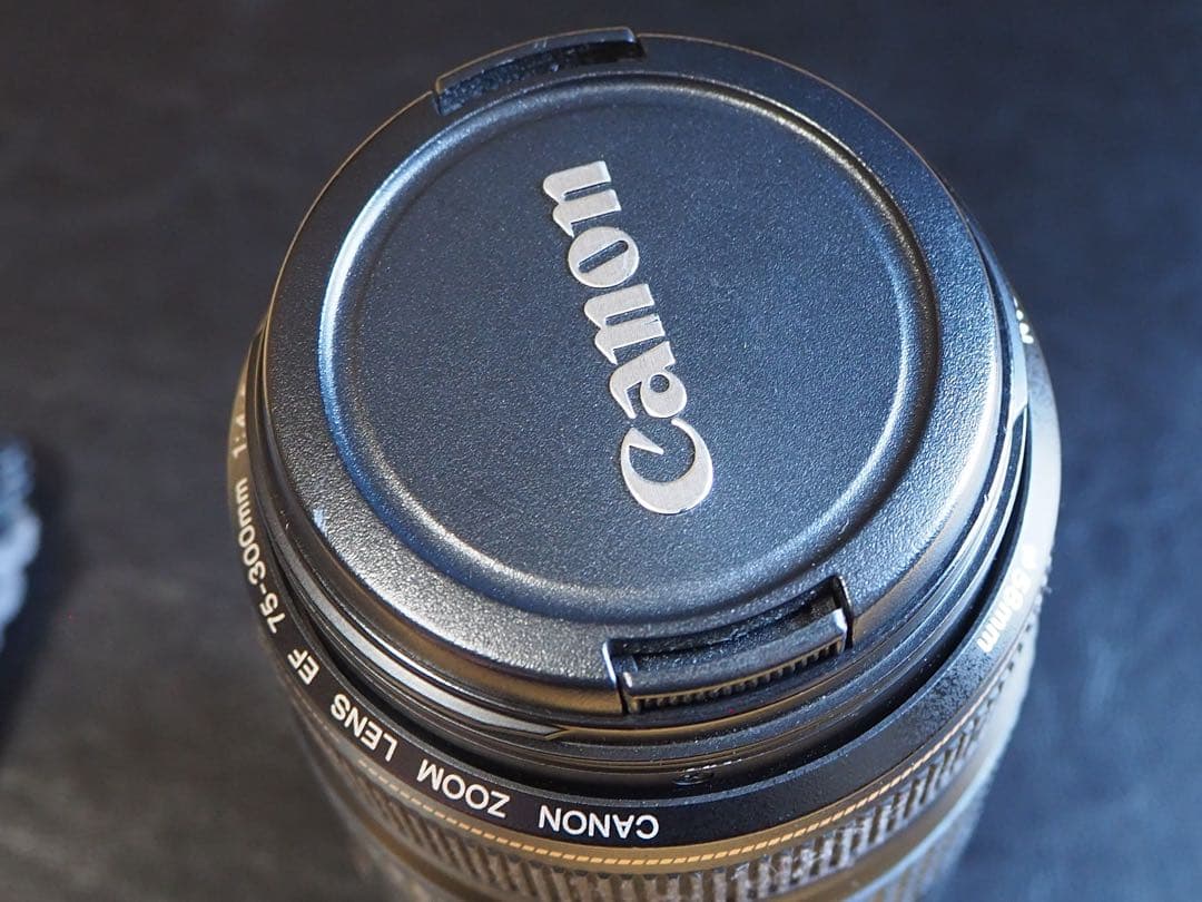 Canon ズームレンズ EF75-300mm IMAGESTABILIZER