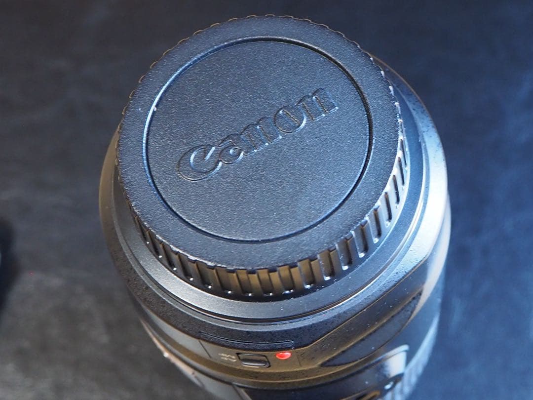 Canon ズームレンズ EF75-300mm IMAGESTABILIZER