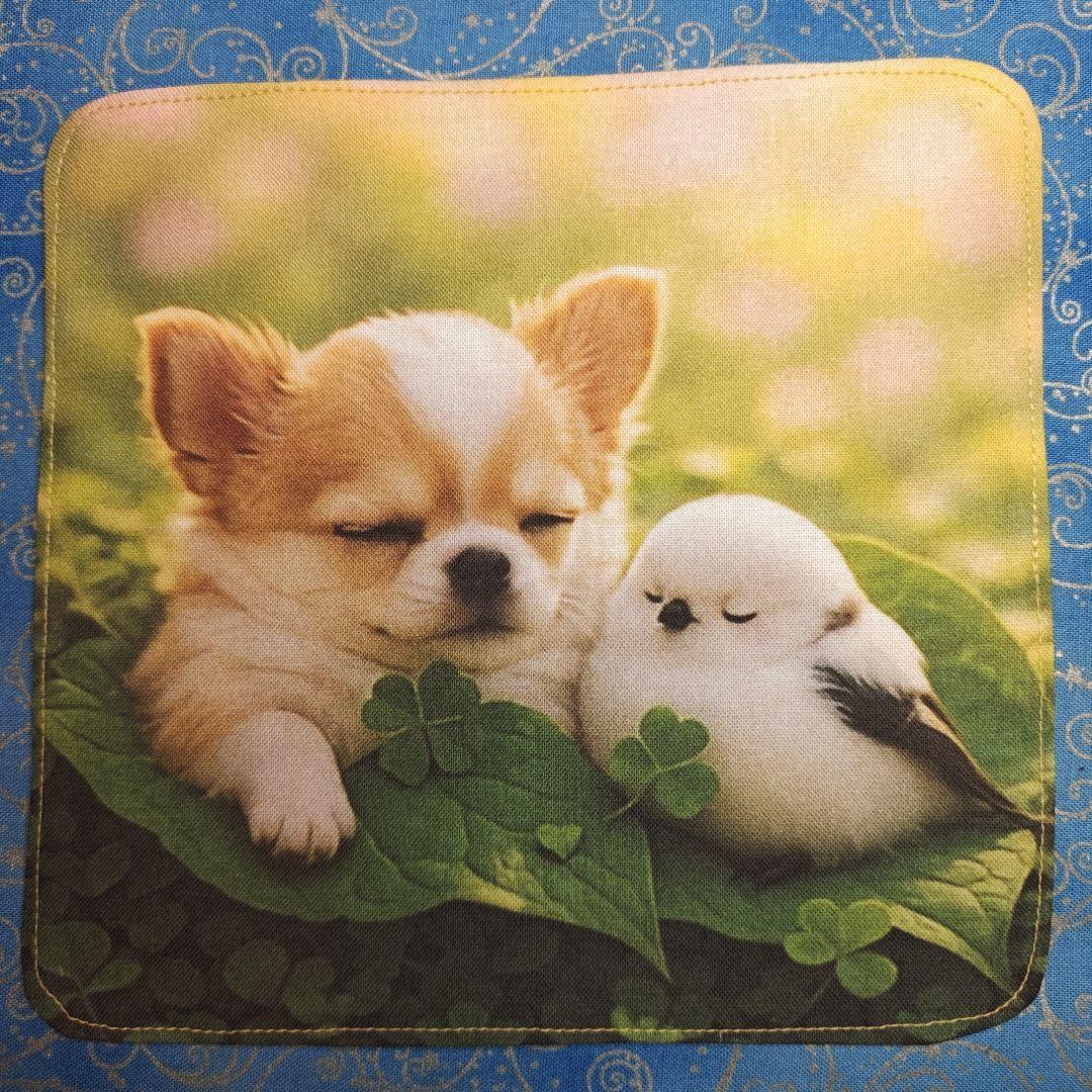 あしべ☆　ハンカチ　わんこさん柄