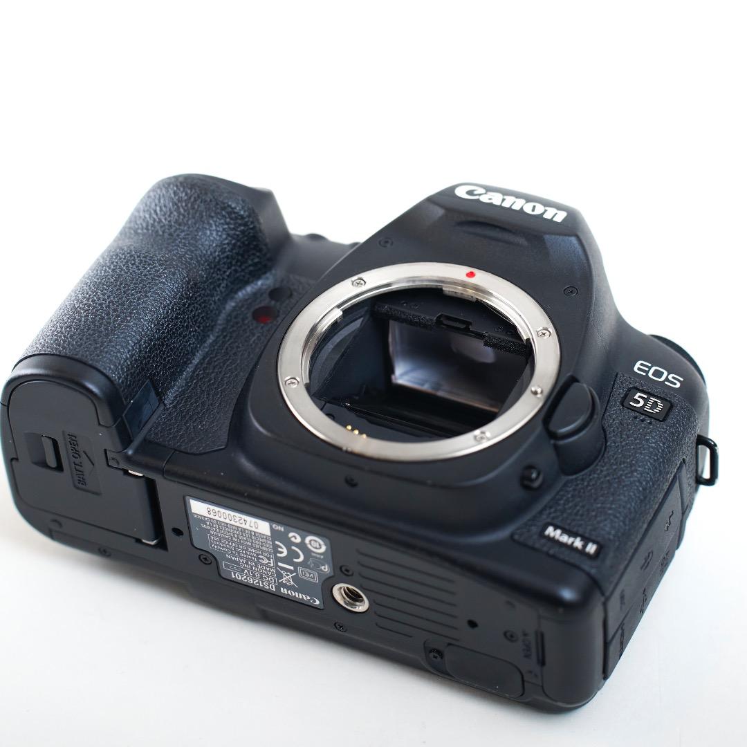 Canon EOS5DMark2　方眼マット