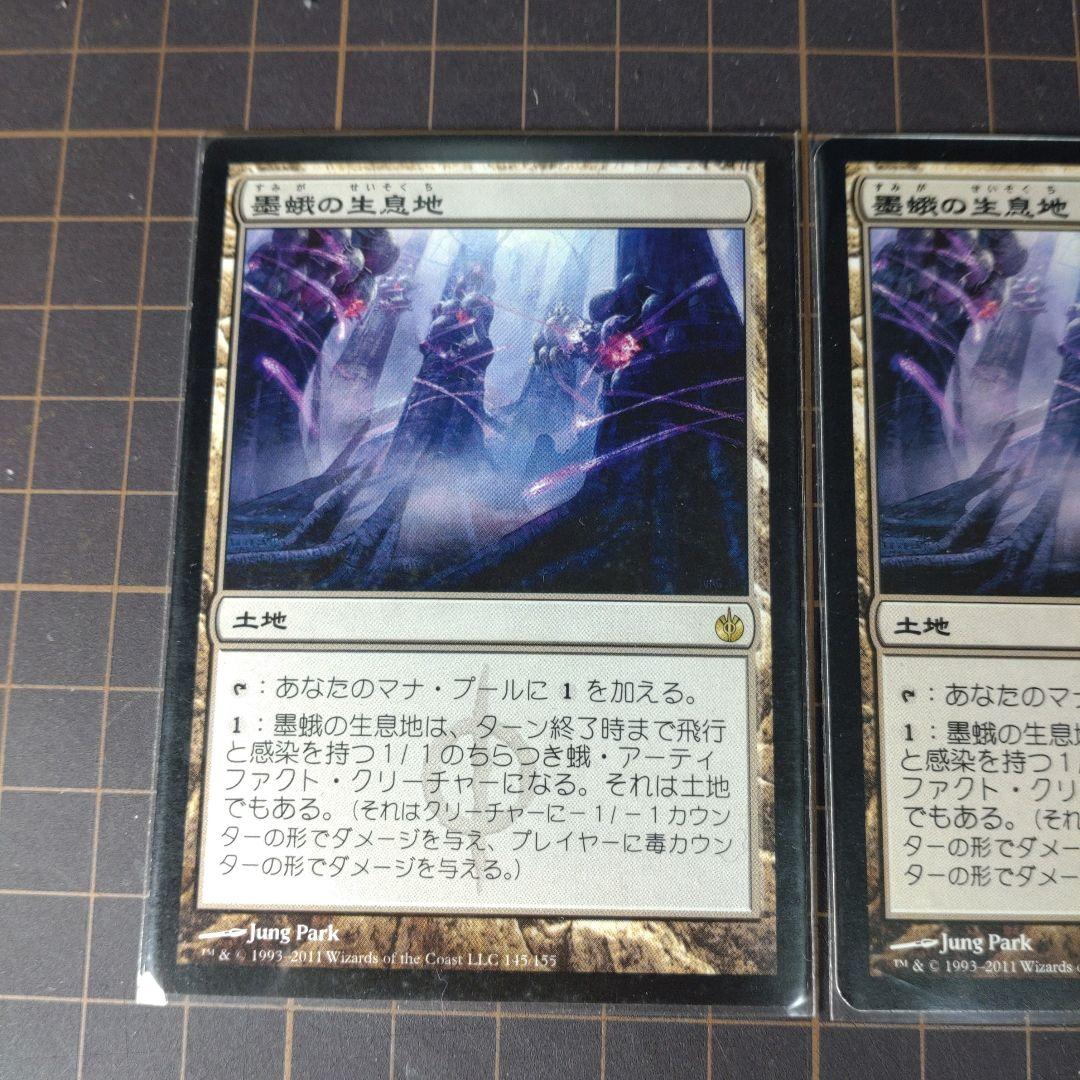 MTG 墨蛾の生息地