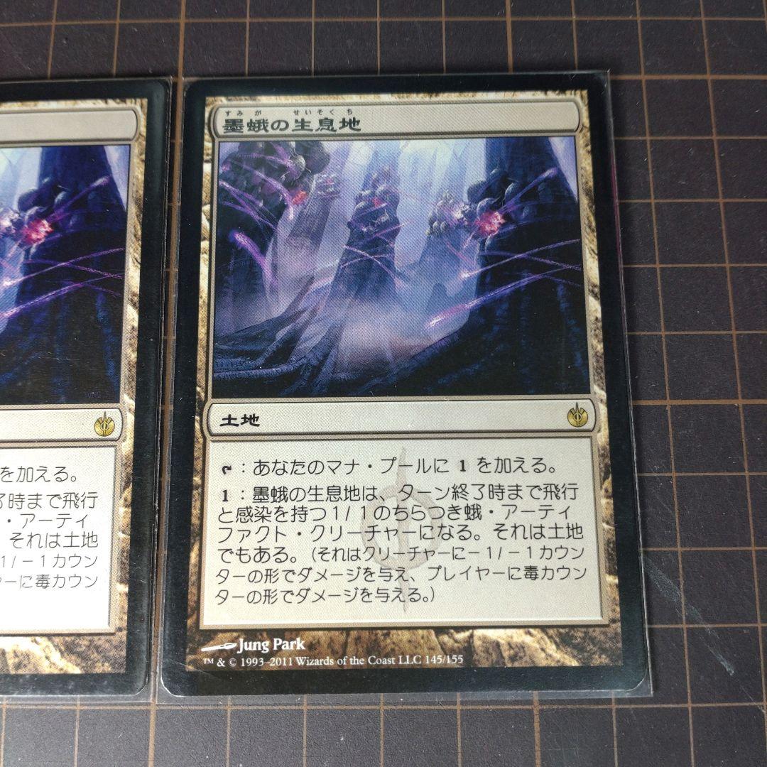 MTG 墨蛾の生息地