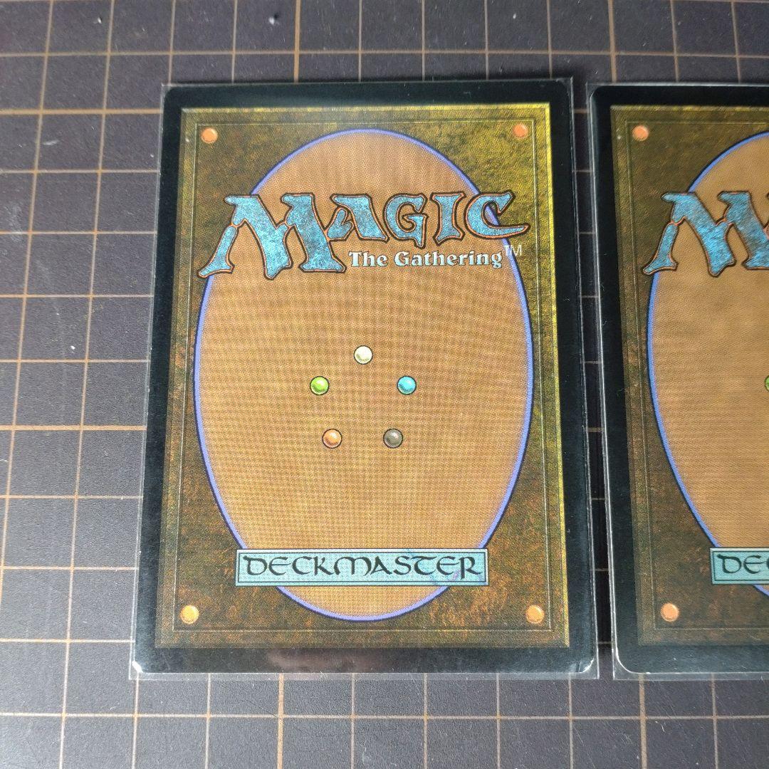 MTG 墨蛾の生息地