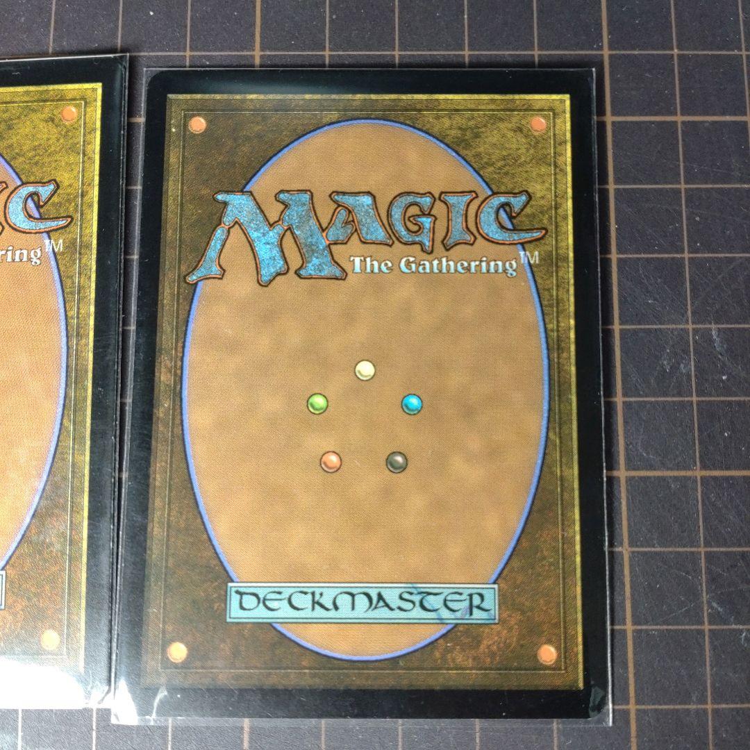 MTG 墨蛾の生息地