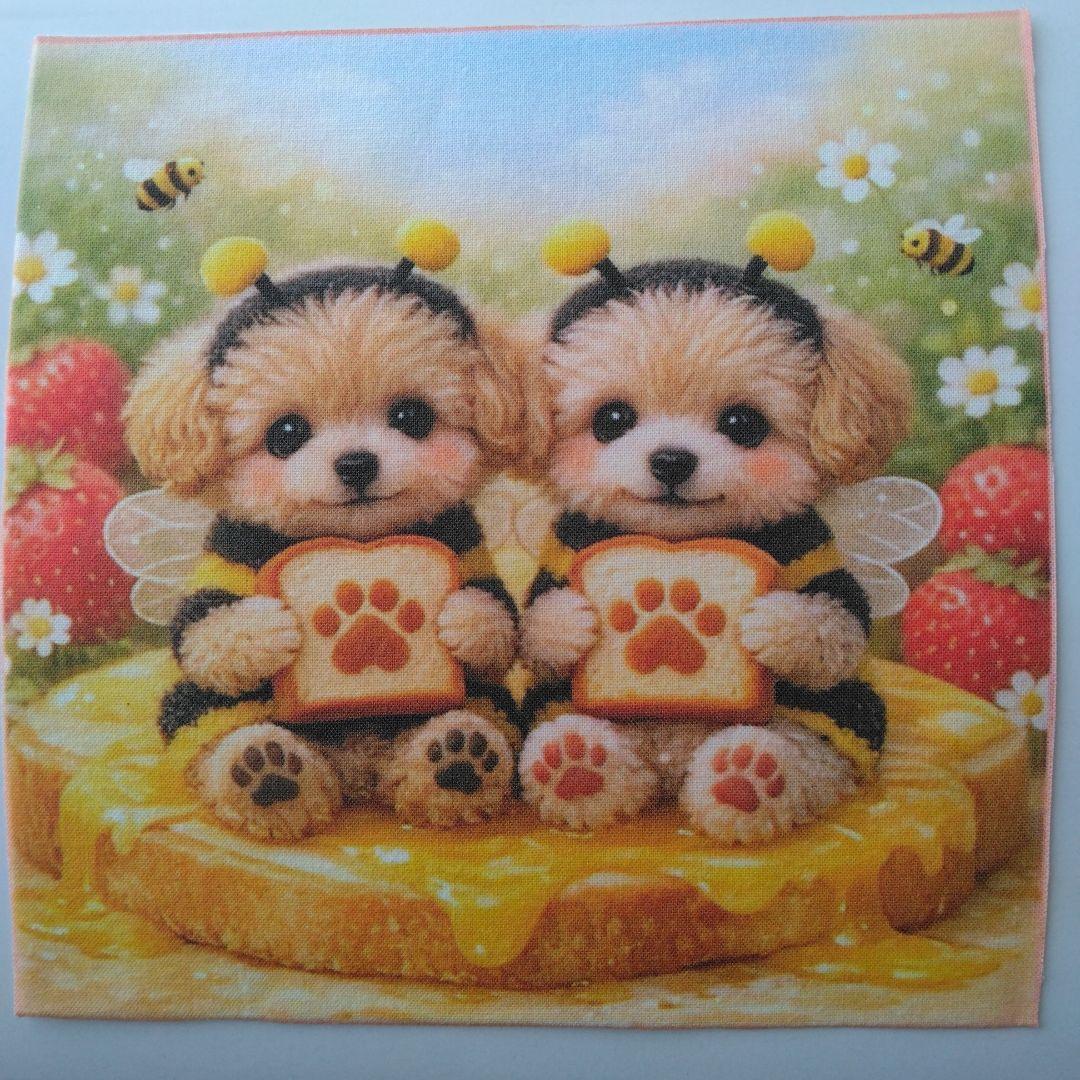 ☆受付☆トイプードル