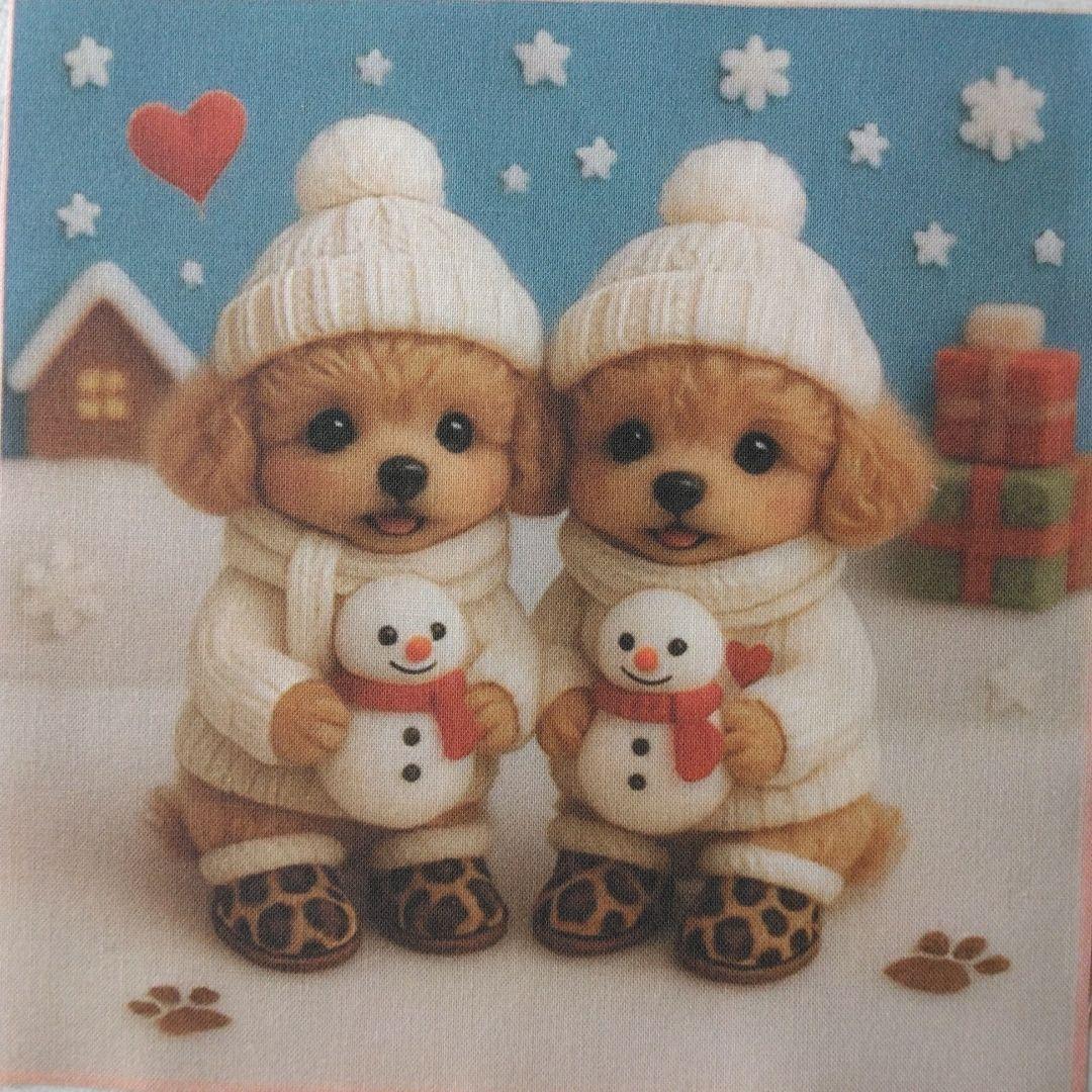 ☆受付☆トイプードル