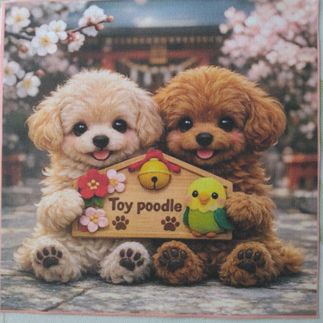 ☆受付☆トイプードル