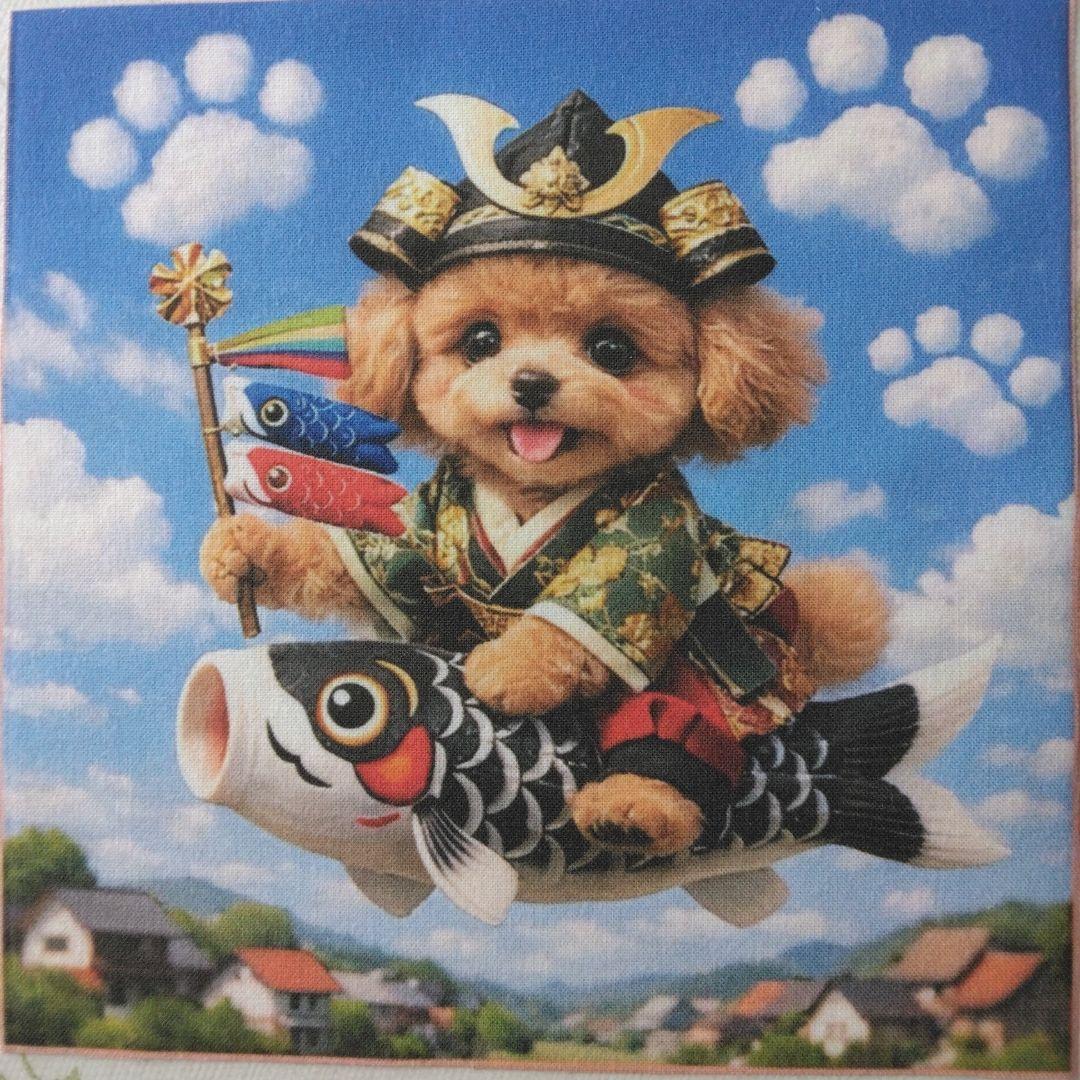 ☆受付☆トイプードル