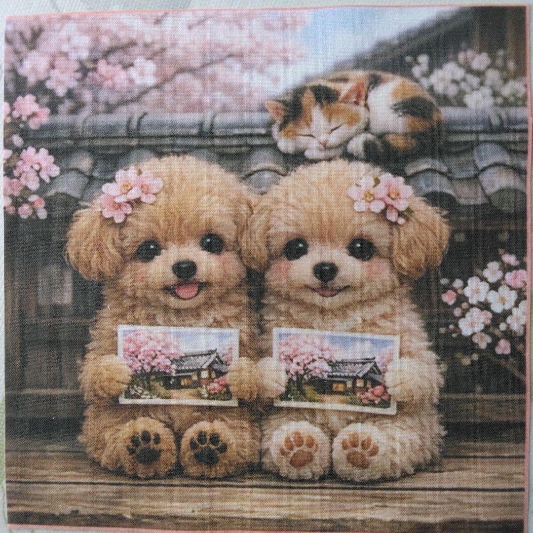 ☆受付☆トイプードル