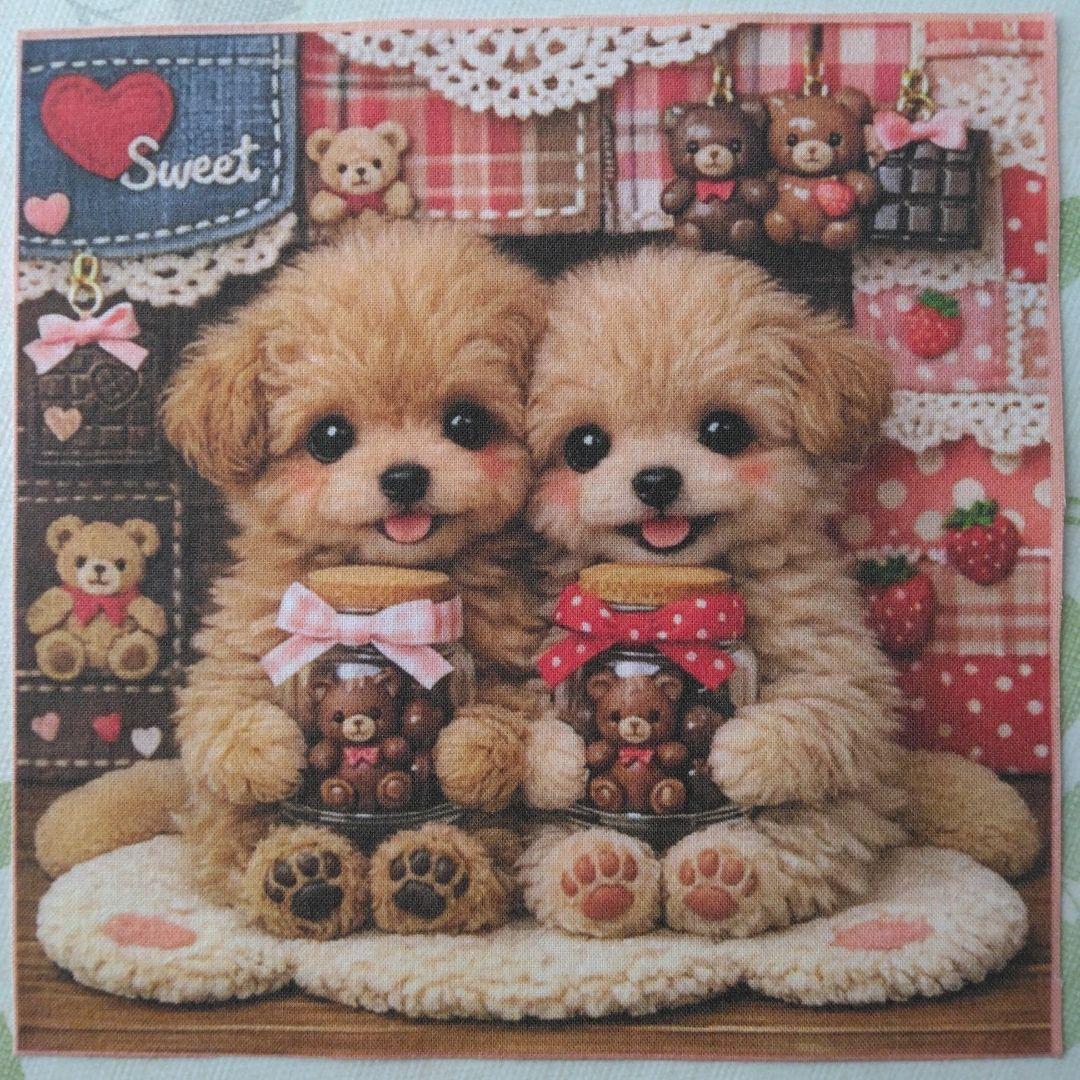 ☆受付☆トイプードル