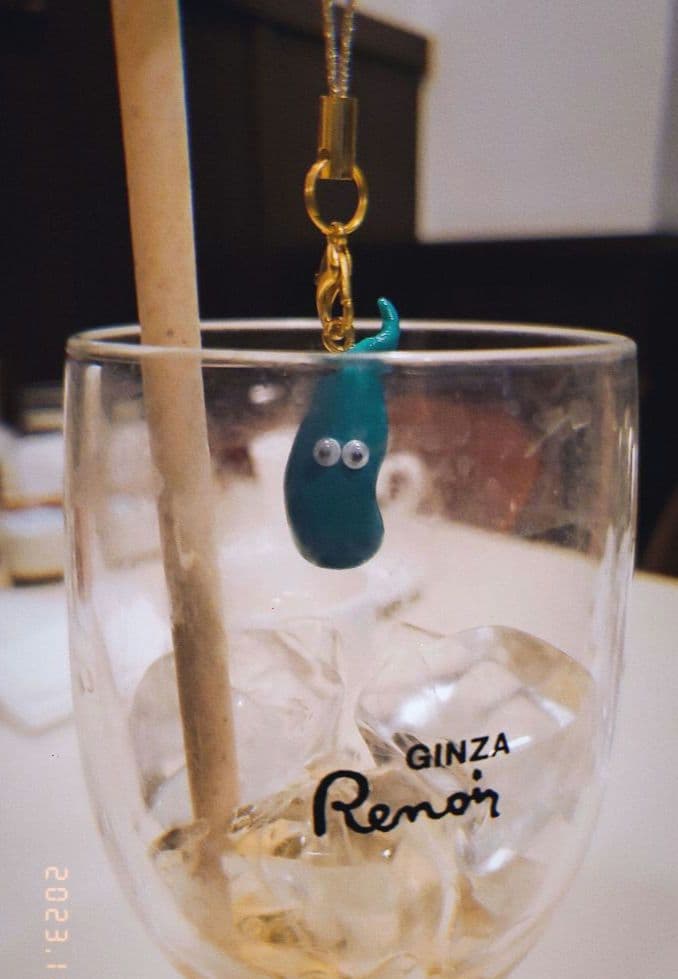 胆嚢　手作り臓器キーホルダー