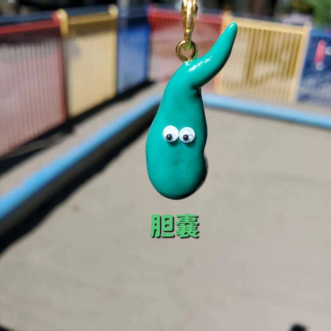 胆嚢　手作り臓器キーホルダー
