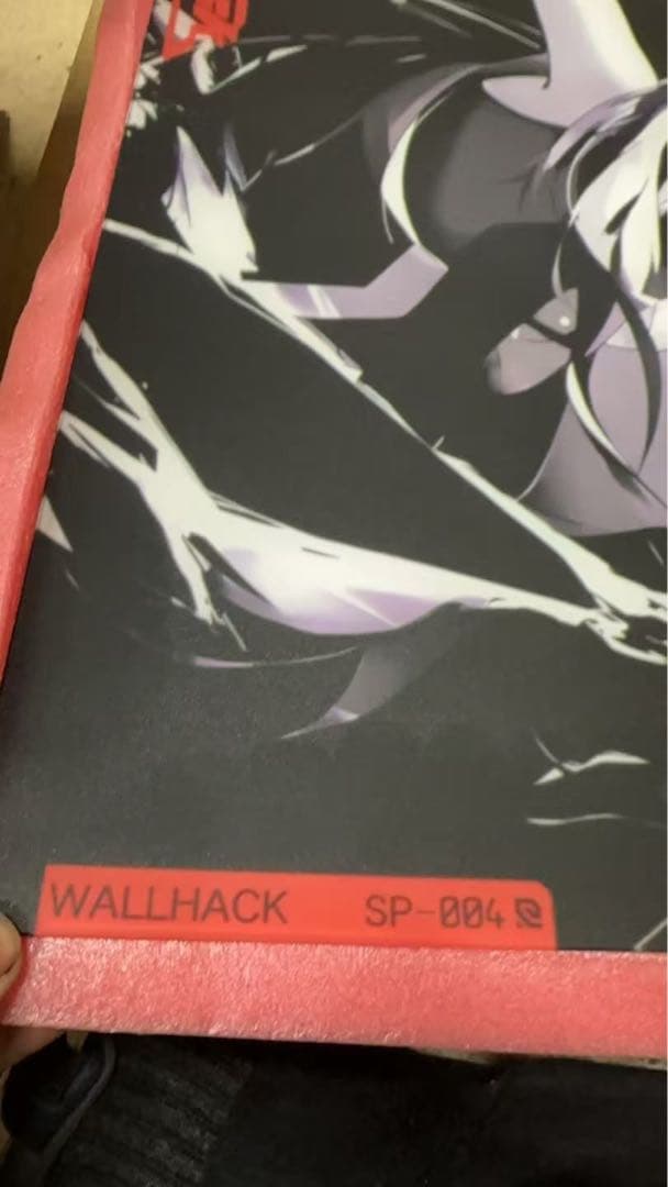 即購入歓迎 WALLHACK SY-001 Frenzy Sora