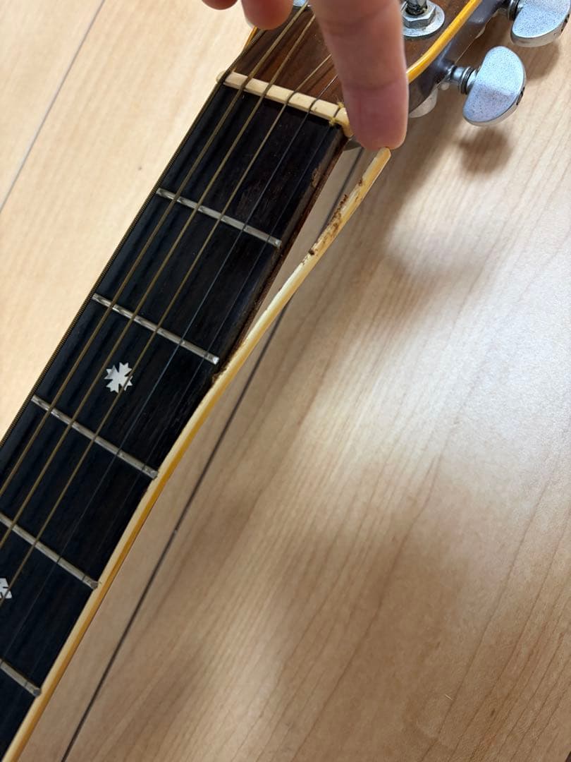 ギター Cat's Eyes CE-600