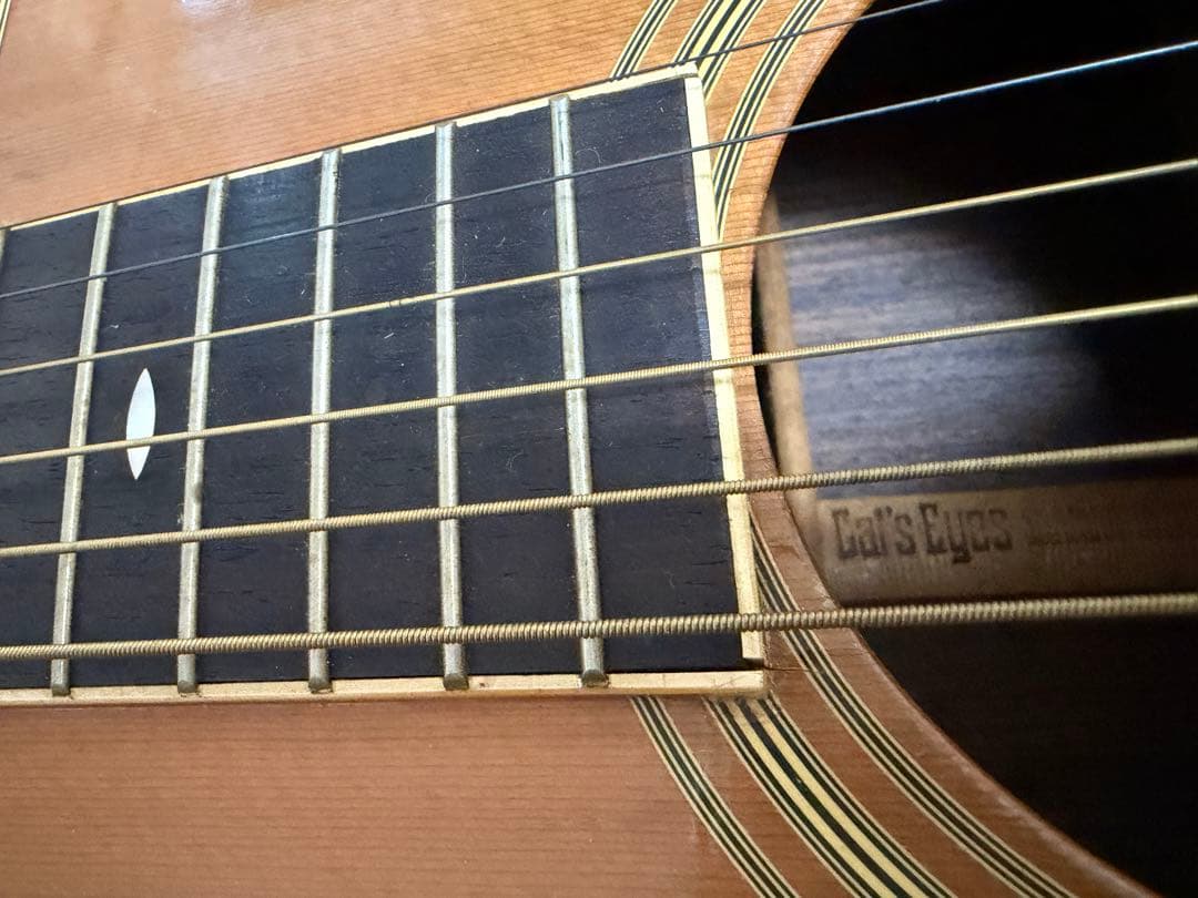 ギター Cat's Eyes CE-600