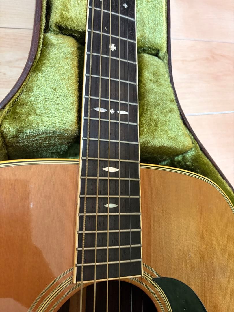 ギター Cat's Eyes CE-600