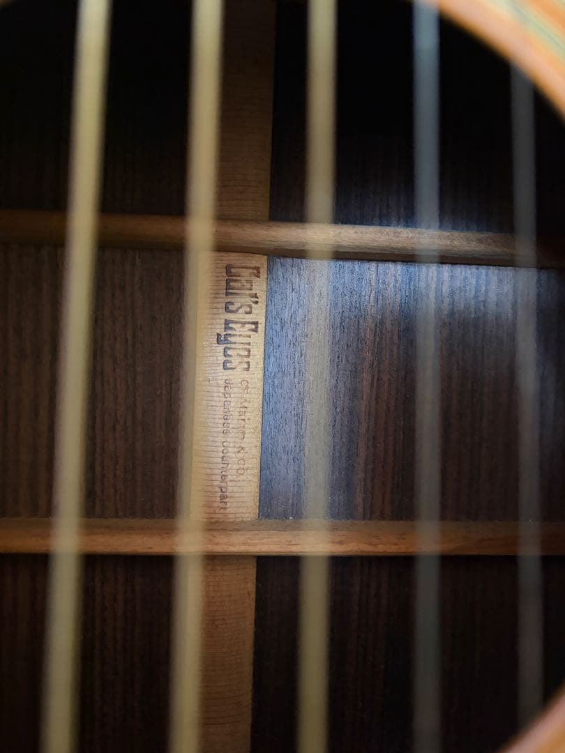 ギター Cat's Eyes CE-600