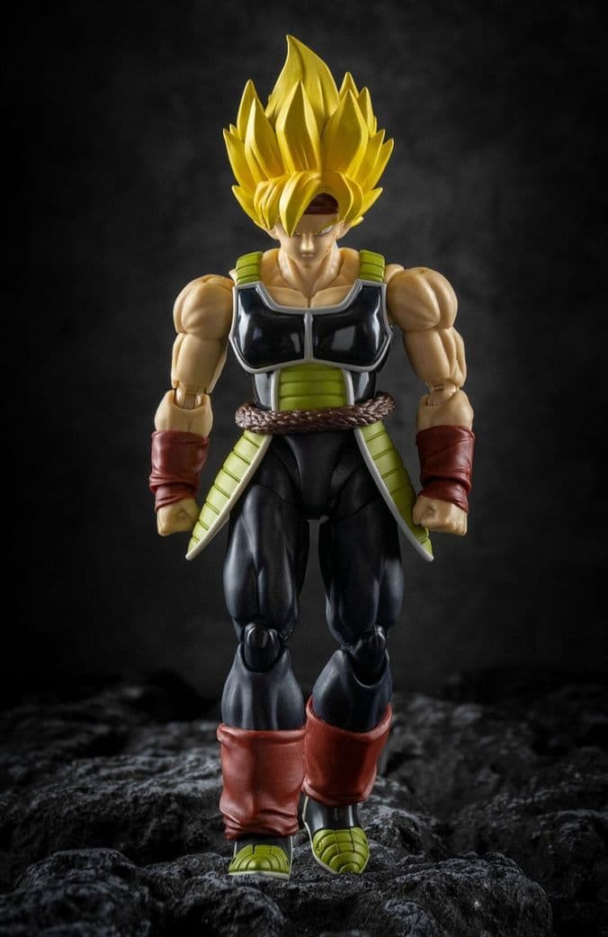 け*ん様 s.h.figuarts バーダック用 カスタムパーツ