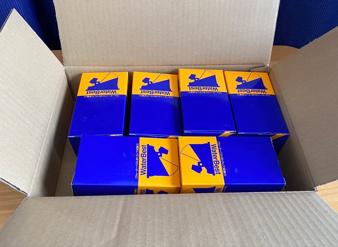 リーンの翼　フィギュア