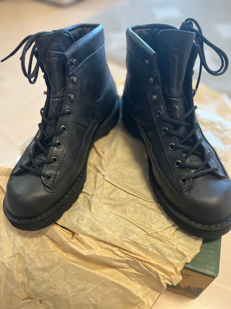 Danner Blackhawk ⅱ 9 inch EE 27cm