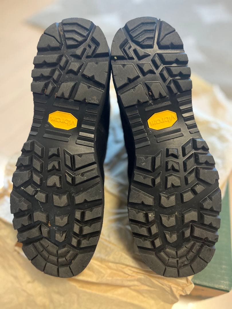 Danner Blackhawk ⅱ 9 inch EE 27cm