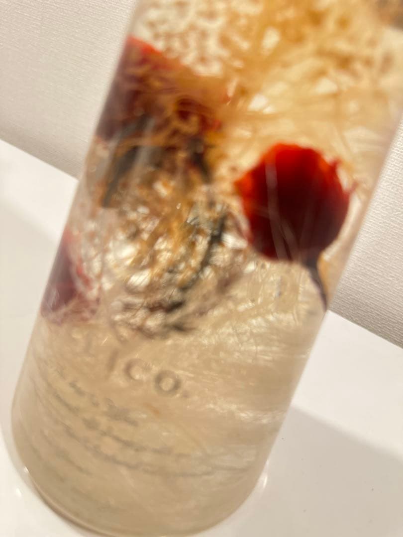 Fillico(フィリコ) ハーバリウム 天使の羽と王冠