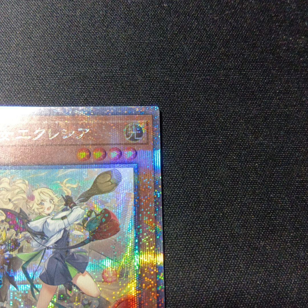遊戯王　白の聖女　エクレシア　25th 絵違い