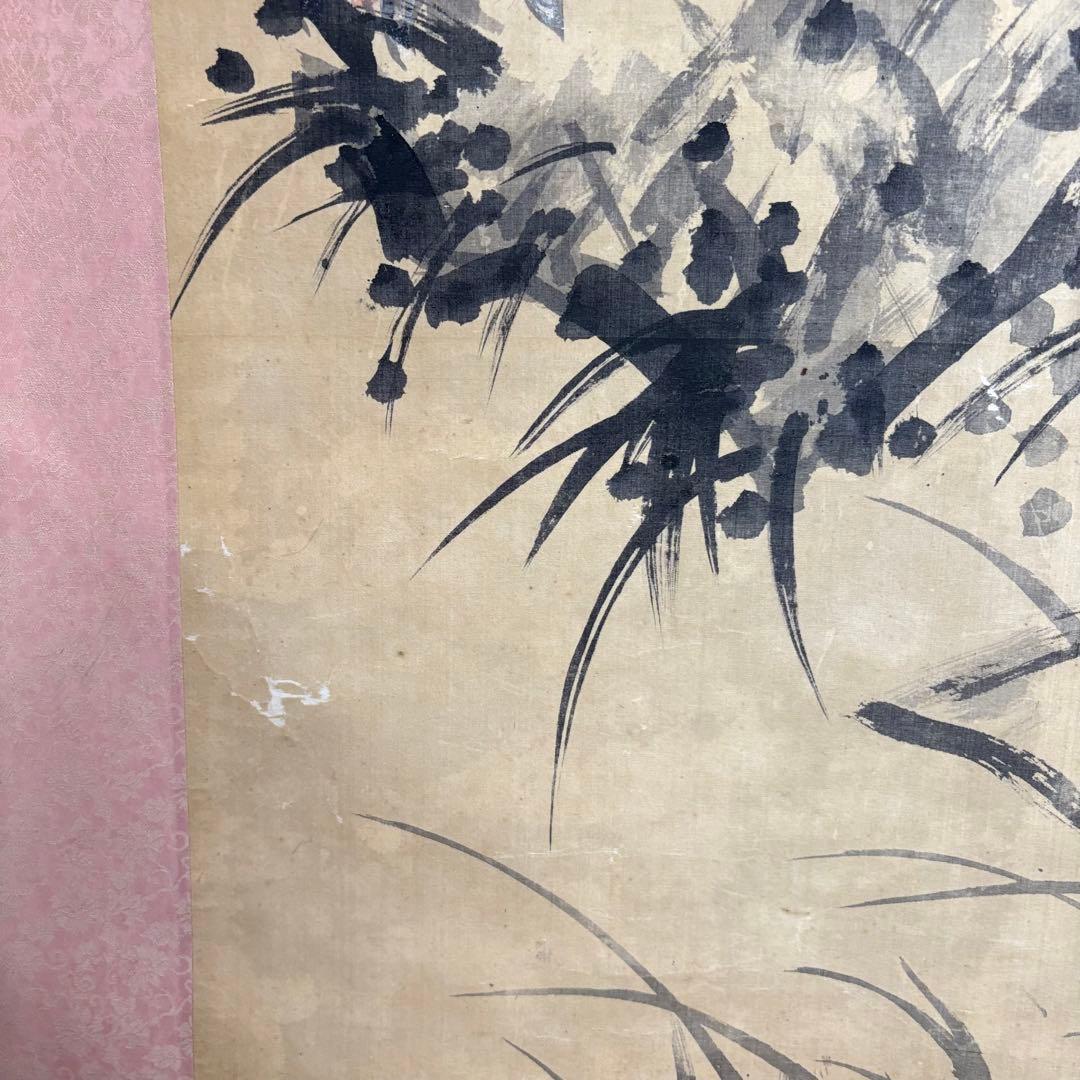 掛軸 虎 在銘 落款 肉筆 干支 寅 Z12